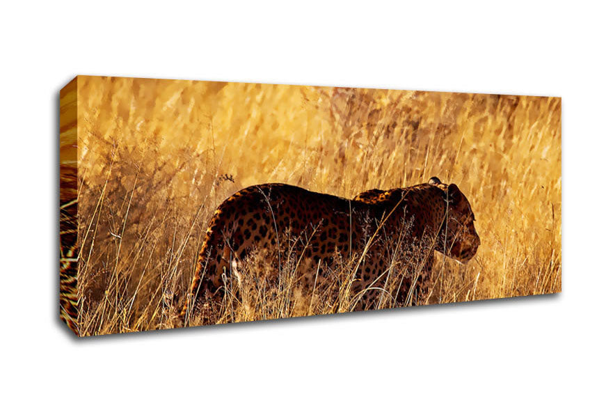 Cheetah Hunt Canvas Wall Art