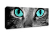 Close Up Of A Grey Tabby Cat Face Canvas Wall Art