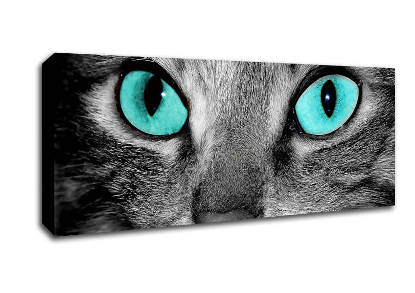 Close Up Of A Grey Tabby Cat Face Canvas Wall Art