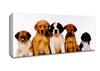 Dog Family Canvas Wall Art