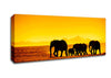 Hurd Of Elephants Canvas Wall Art