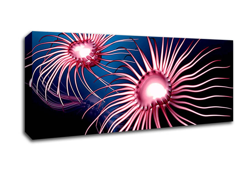 Jellyfish Swirl Canvas Wall Art