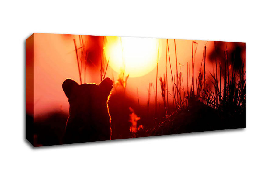 Lion Cub Watching The Sun Go Down Canvas Wall Art