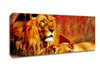 Lion Love Canvas Wall Art