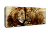 Lions Love Wild Cats Animals Canvas Wall Art