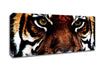 Male Tiger Face Canvas Wall Art