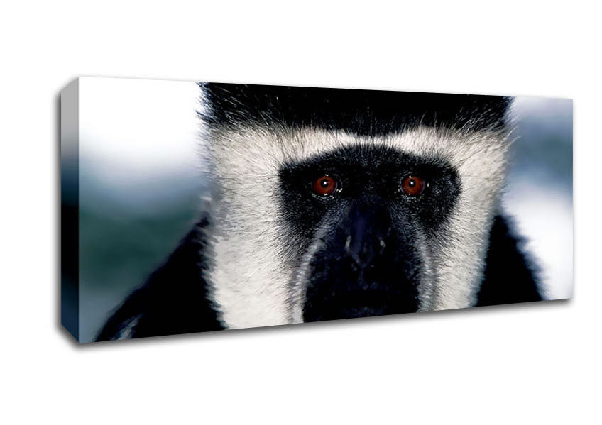 Monkey Face Canvas Wall Art