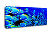 Ocean Fun Canvas Wall Art
