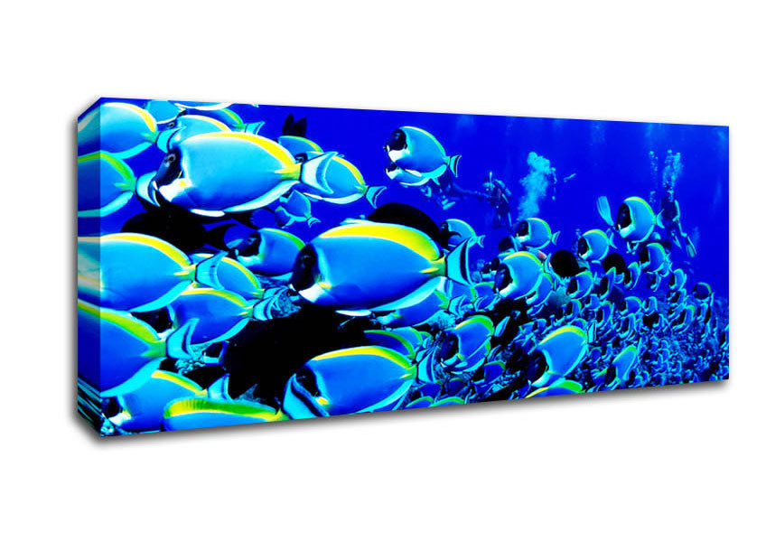 Ocean Fun Canvas Wall Art