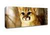 Panther In The Woodland Canvas Wall Art