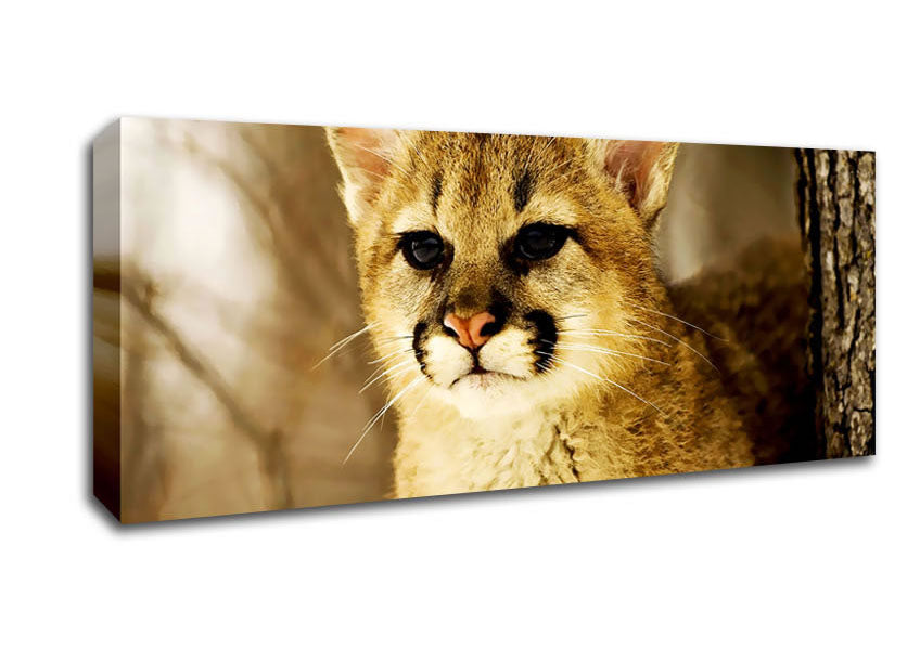 Panther In The Woodland Canvas Wall Art