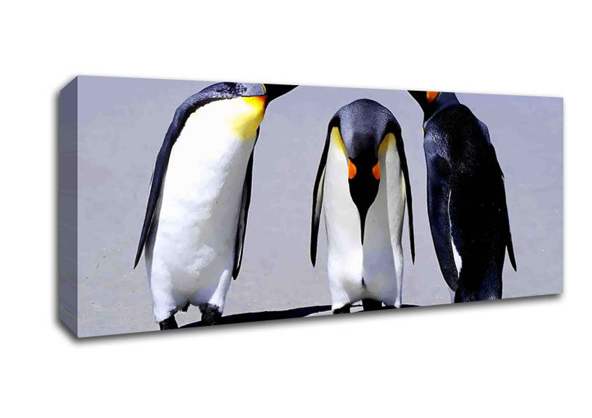 Penguin Shame Canvas Wall Art