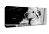 Piano Pup Canvas Wall Art