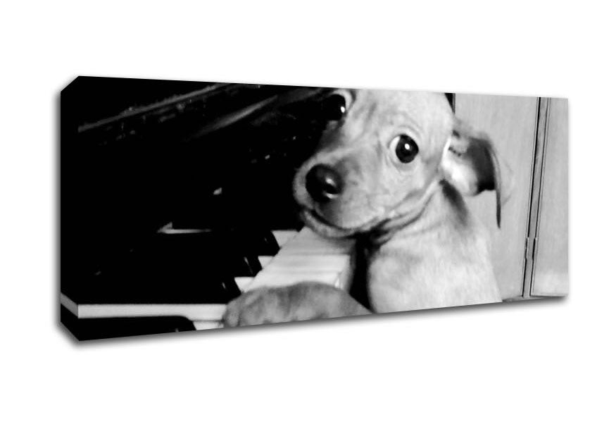 Piano Pup Canvas Wall Art