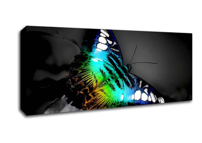 Psychodelic Butterfly Canvas Wall Art