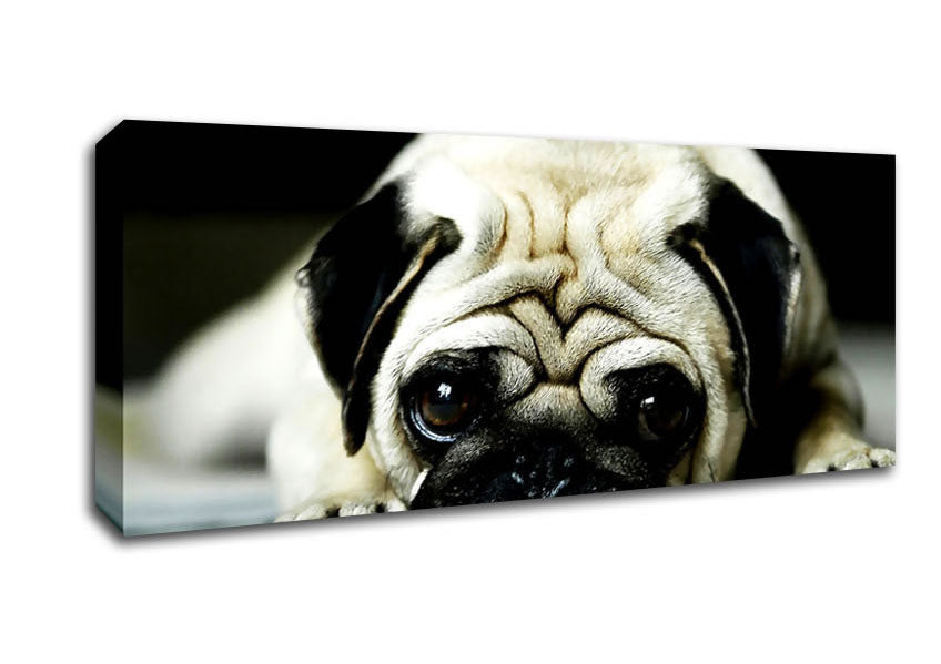 Pug Canvas Wall Art