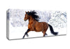 Racing Horse Canvas Wall Art