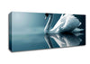 Reflections Of A Swan Canvas Wall Art
