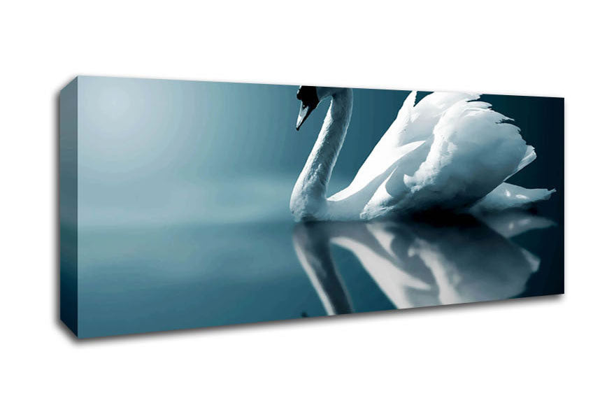 Reflections Of A Swan Canvas Wall Art