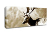 Reindeer Canvas Wall Art