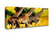 Safari Giraffe Canvas Wall Art