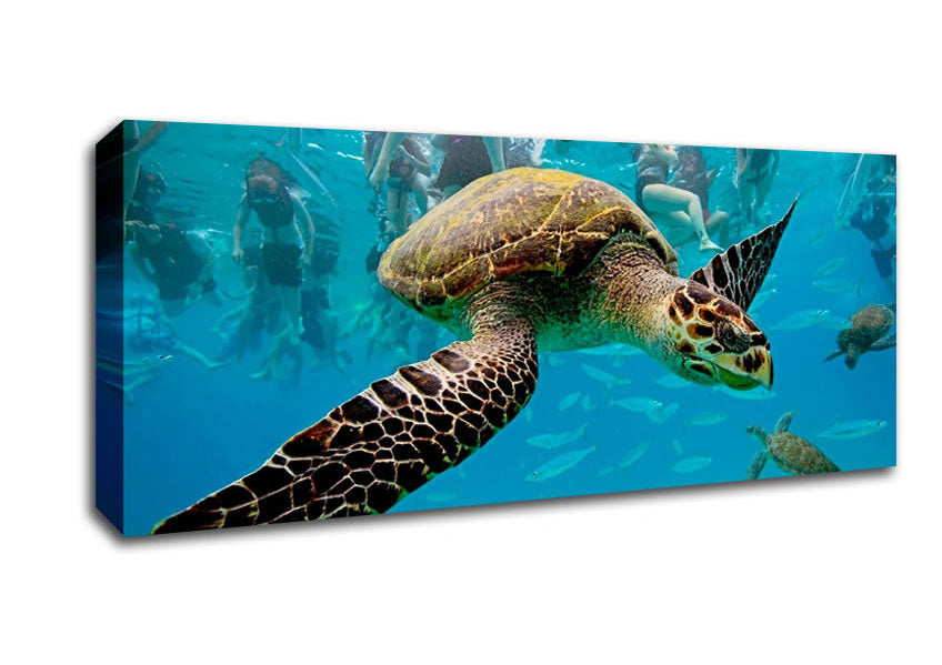 Sea Turtle Under Water Canvas Wall Art