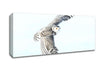 Snowy Owl Canvas Wall Art