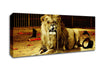 The Lion Tamer Canvas Wall Art