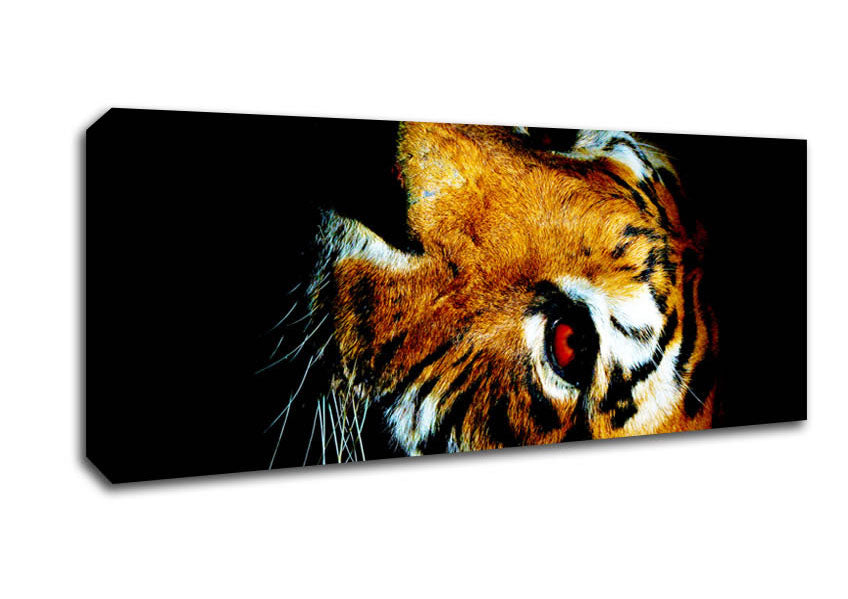 Tiger Beauty Canvas Wall Art