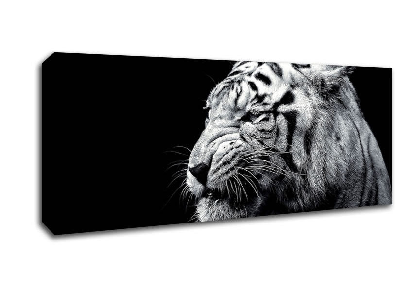 Tiger Black And White 2 Canvas Wall Art