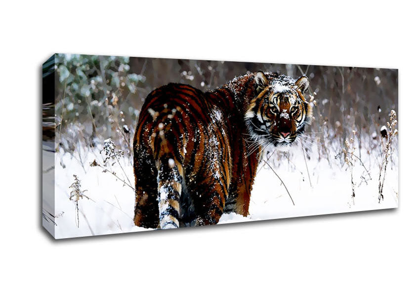 Tiger In The Snow Canvas Wall Art