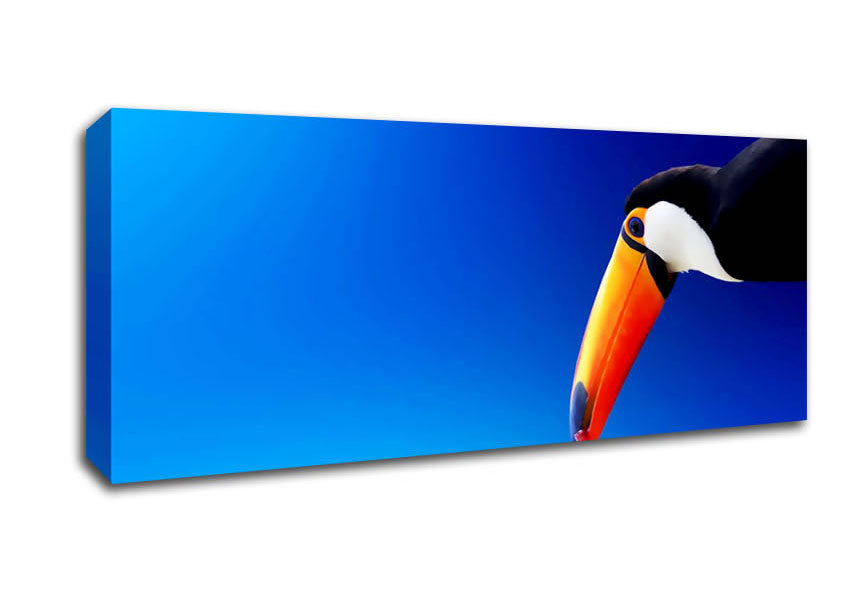 Tucan Beauty Canvas Wall Art