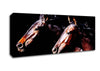 Twin Stallions Canvas Wall Art