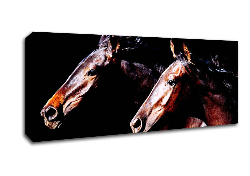 Twin Stallions Canvas Wall Art