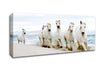 White Ocean Horses Canvas Wall Art