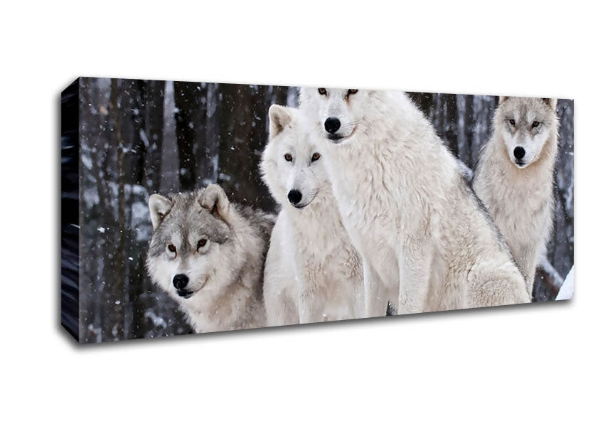 White Wolf Pack Canvas Wall Art