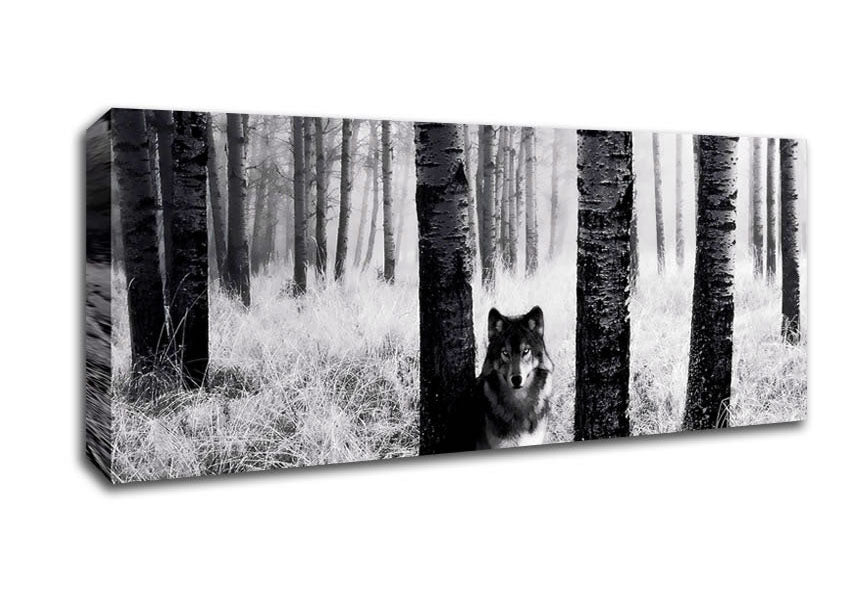 Wolf In The Forest Canvas Wall Art