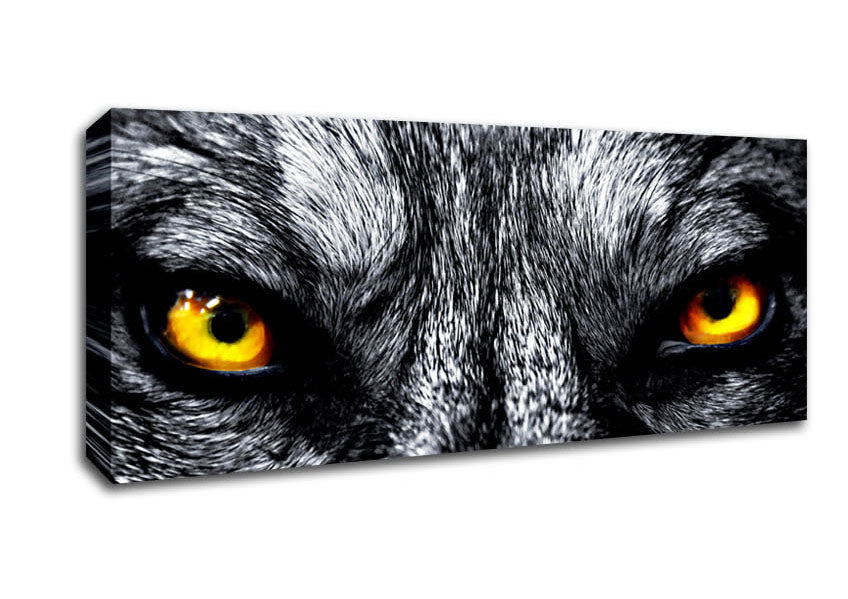 Yellow Wolf Eyes Canvas Wall Art