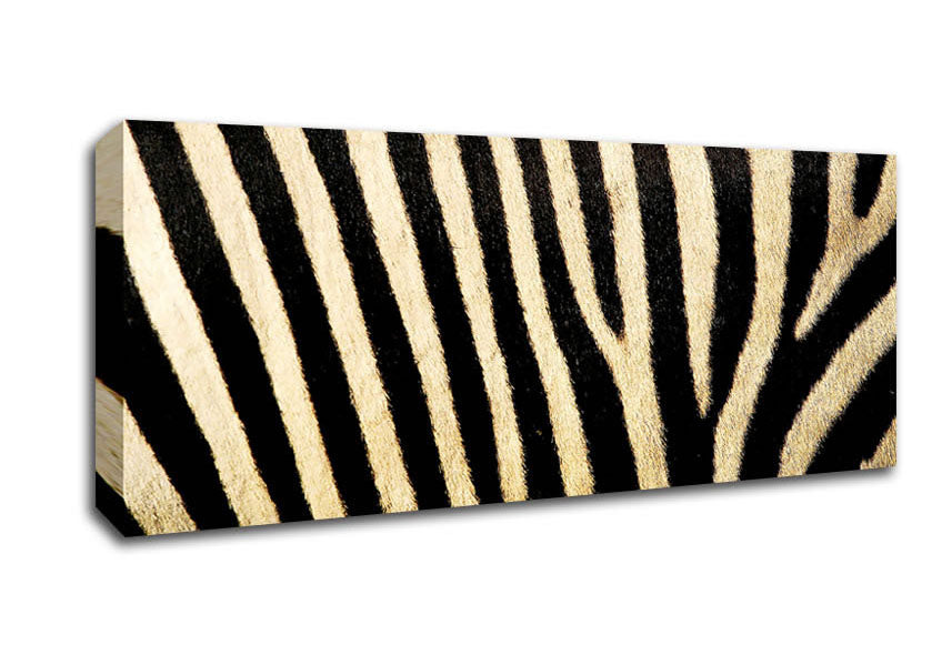 Zebra Pattern Canvas Wall Art
