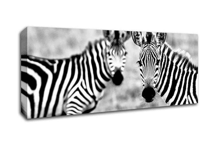 Zebra Twins Canvas Wall Art