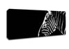 Zebra Whiskers Canvas Wall Art