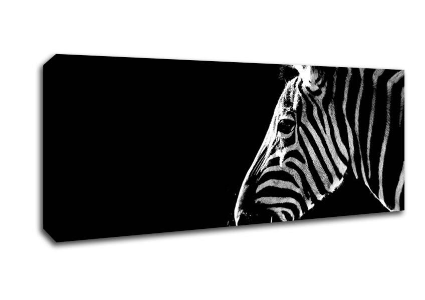 Zebra Whiskers Canvas Wall Art