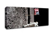 Buzz Salutes The American Flag Canvas Wall Art