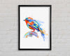 Colourful Robin Framed Wall Art