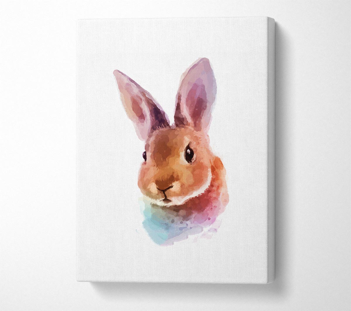 Rabbit Portrait Canvas Wall Art