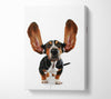 Basset Hound Music Canvas Wall Art