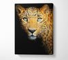 Leopard Beauty Canvas Wall Art