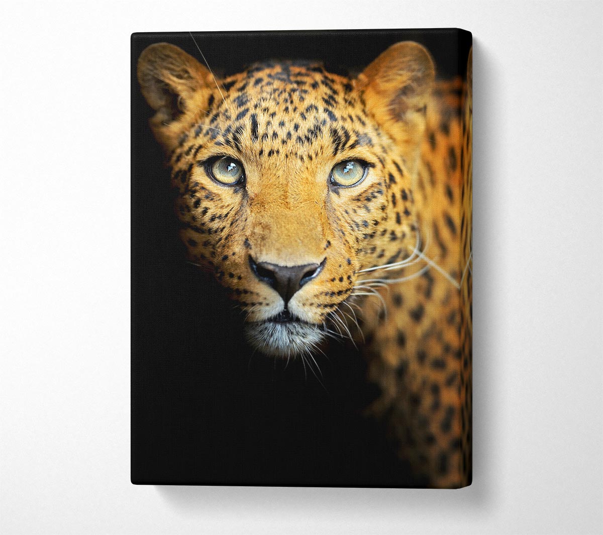 Leopard Beauty Canvas Wall Art
