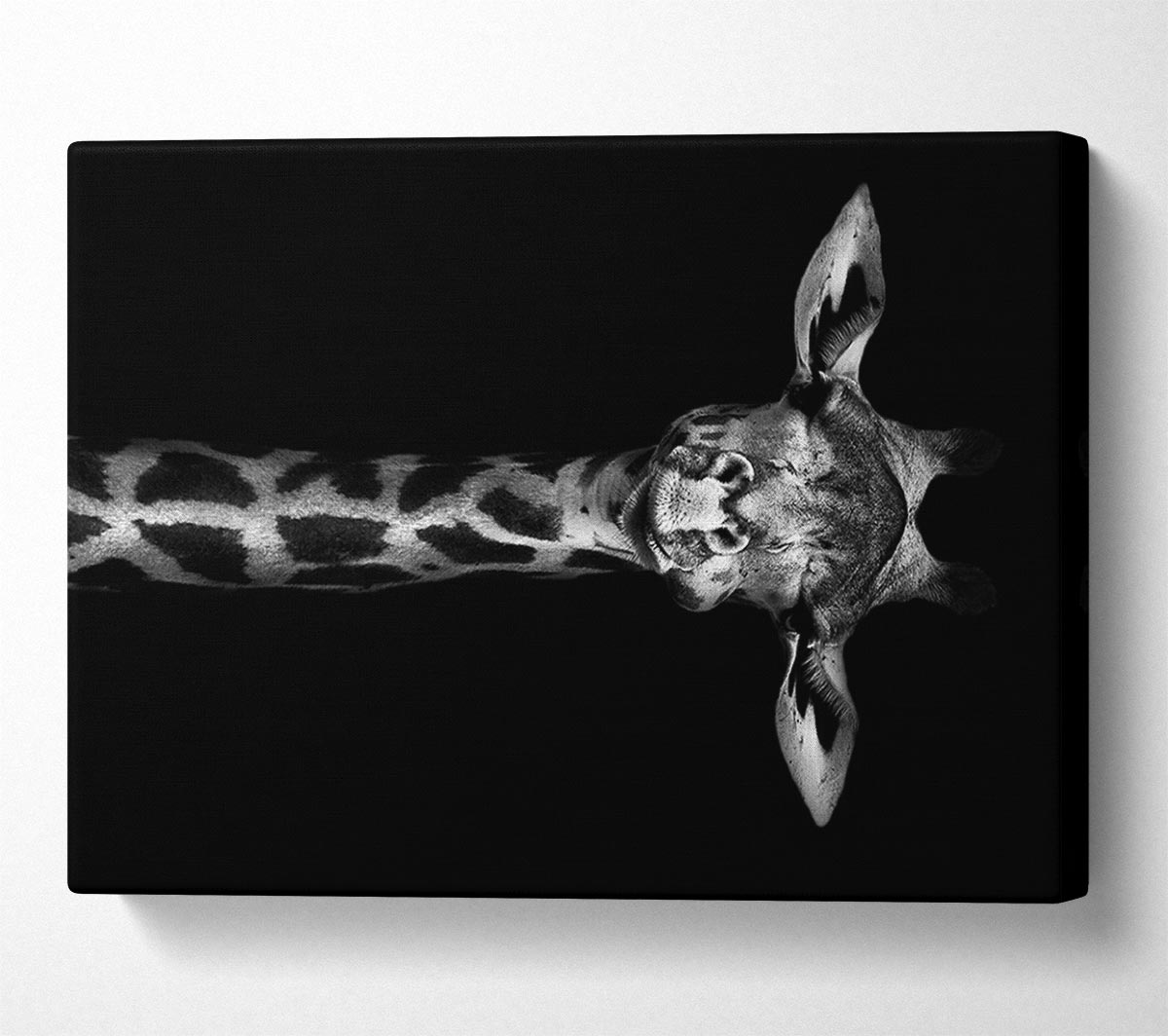 Cute Giraffe Canvas Wall Art