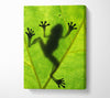 Frog Shadow Canvas Wall Art